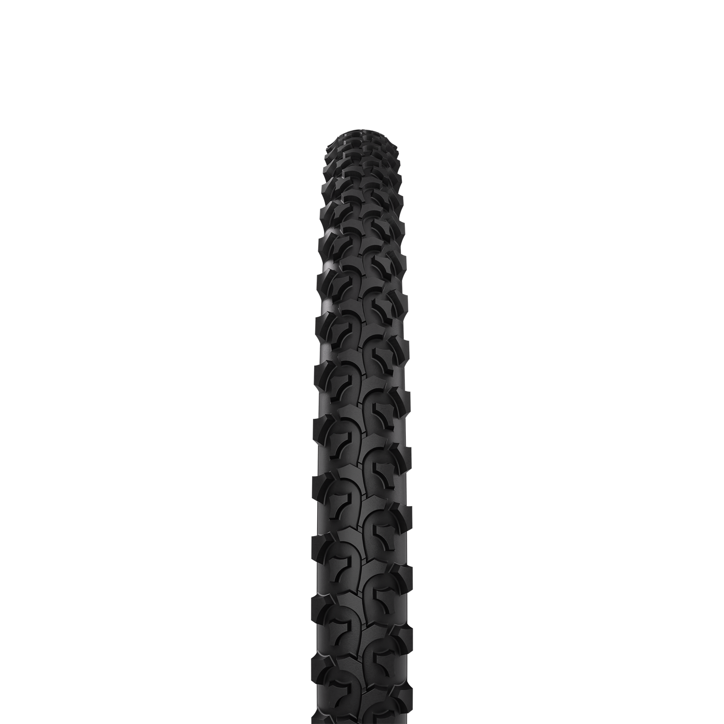 Rapid / MTB