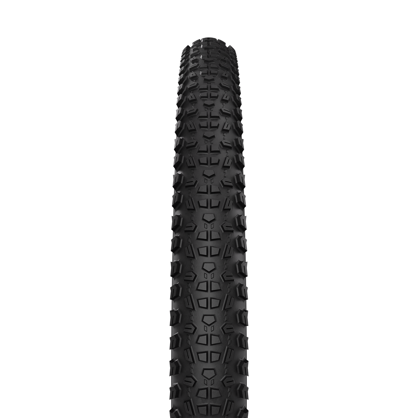 Scylla Racing / XC