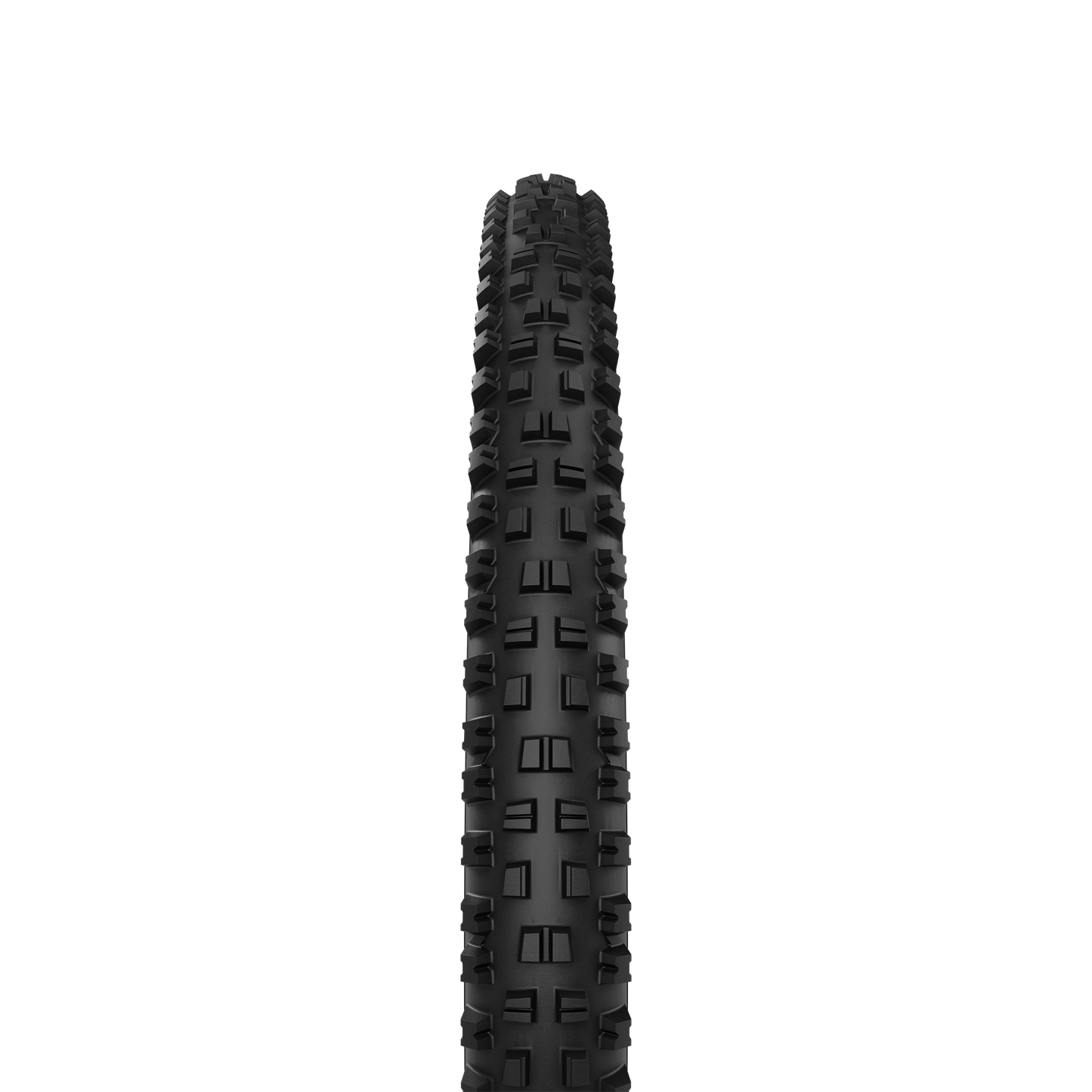Triton / MTB