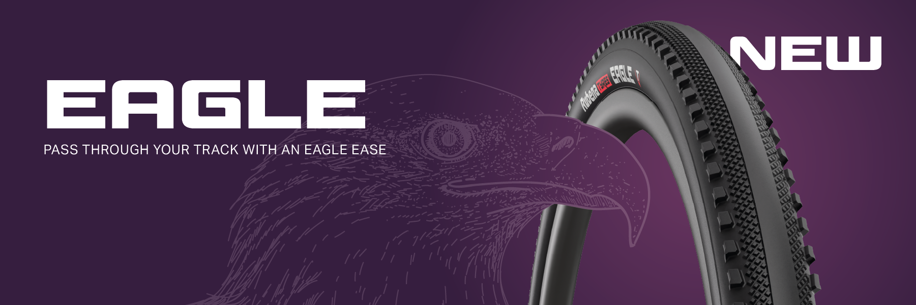 BANNER E-LITE eagle.png__PID:c6fb5579-f706-4b8d-ac22-cf12095c2d3b
