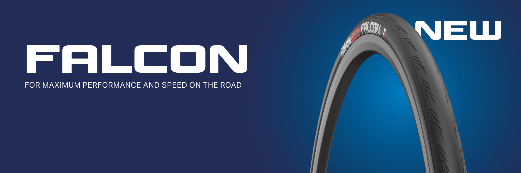 BANNER falcon.png__PID:fb5579f7-06fb-4d2c-a2cf-12095c2d3b16