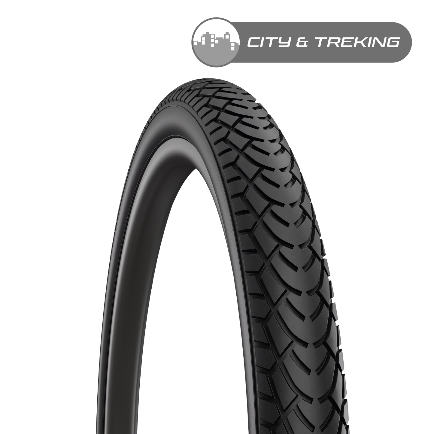 Walrus / City & Trek