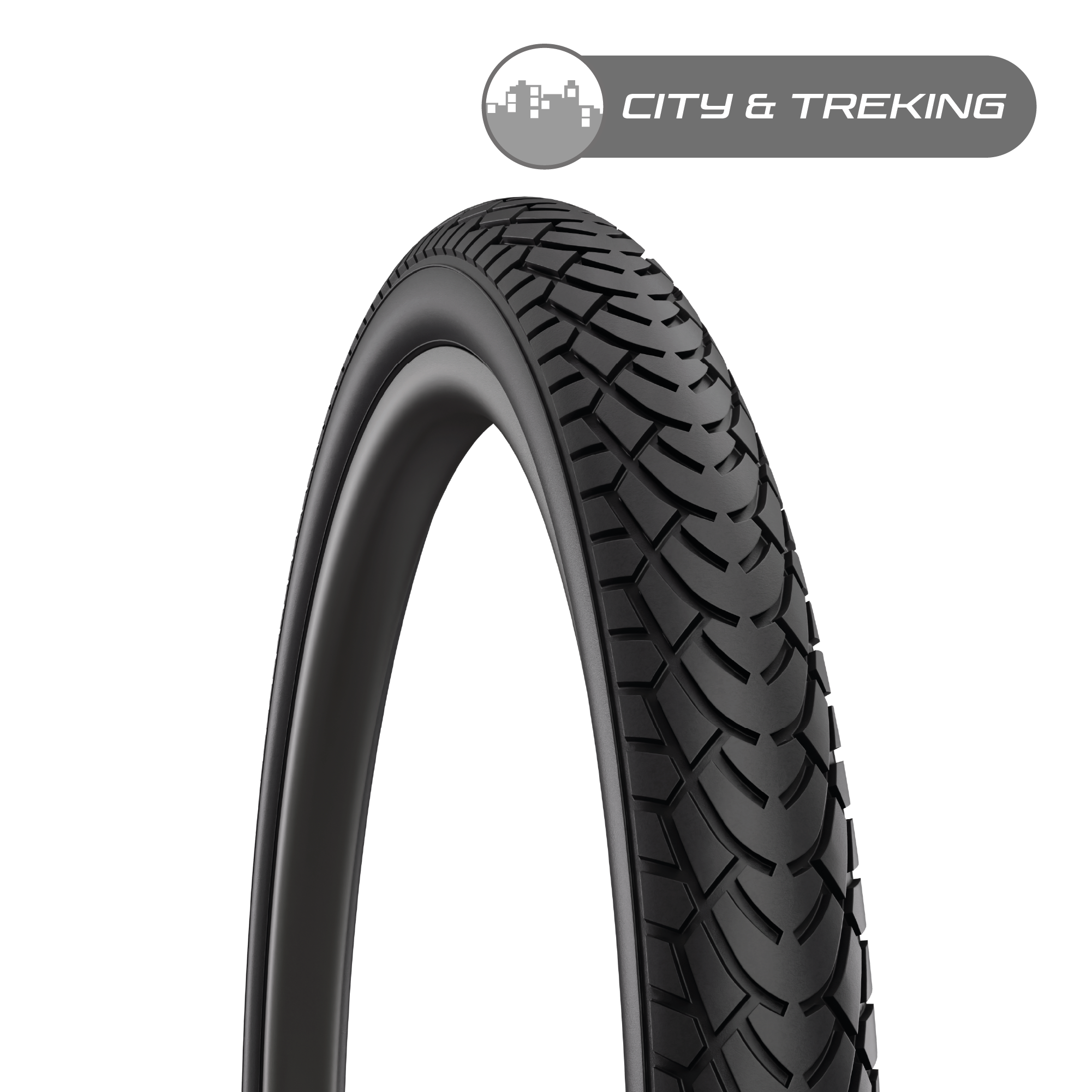 Walrus / City & Trek